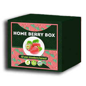 Home Berry Box conjunto de cultivo de fresa – comentarios de usuarios actuales 2020 – cómo usarlo, como funciona, opiniones, foro, precio, donde comprar, mercadona – España
