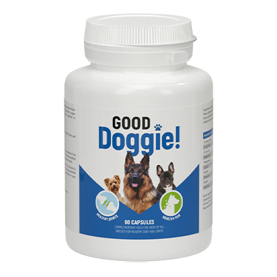 Good Doggie cápsulas – comentarios de usuarios actuales 2020 – ingredientes, cómo tomarlo, como funciona, opiniones, foro, precio, donde comprar, mercadona – España