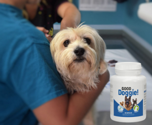 Good Doggie cápsulas, ingredientes, cómo tomarlo, como funciona, efectos secundarios